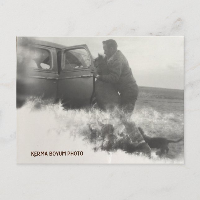 Pony in Car Postcard (Front)