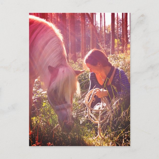 pony in the forest postcard (Front)