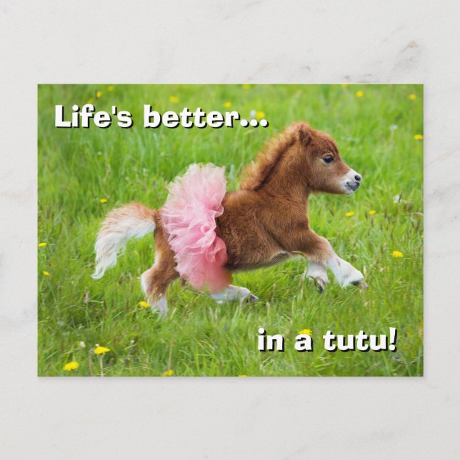 Pony in Tutu Invitation Postcard (Front)