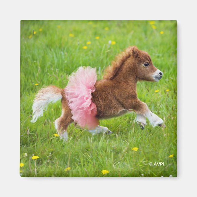 Pony in Tutu Magnet (Front)