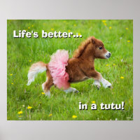 Pony in Tutu
