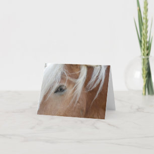 Pony notecard