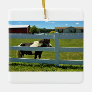 Pony Photo Ceramic Ornament