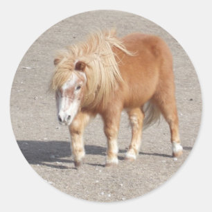 Pony Stickers