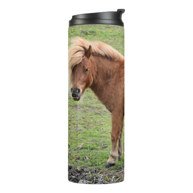 Pony tumbler (Rotated Left)