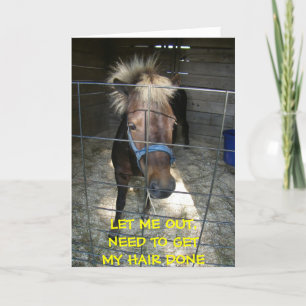 PONY WITH HAIR DELEMA=BIRTHDAY CARD