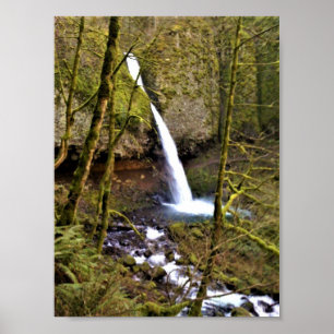 Ponytail Falls, OR Poster