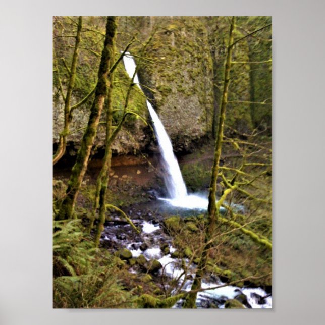 Ponytail Falls, OR Poster (Front)