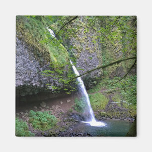 Ponytail Falls, Oregon Magnet
