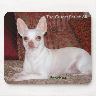 Poochee winter 026, The Cutest Pet of All., Poo... Mouse Pad