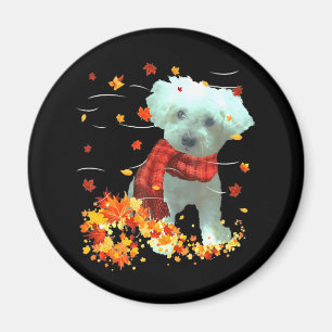 Poochon Fall Scarf - Dogs Autumn Leaves Magnet