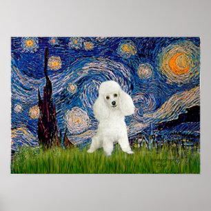Poodle (14W) - Starry Night Poster