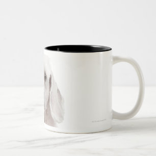 Poodle (1 year old) Two-Tone coffee mug