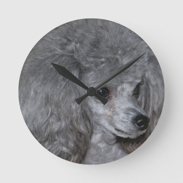 poodle-9.jpg round clock (Front)