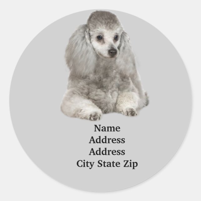Poodle Address Label (Front)