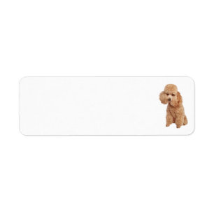 Poodle Address Label Return Address Label