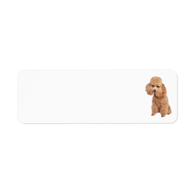 Poodle Address Label Return Address Label (Front)