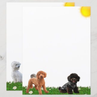 Poodle and Hedgehog Stationery