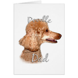 Poodle (apricot) Dad 2