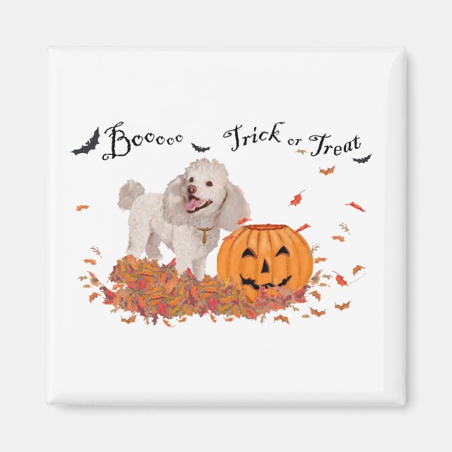 Poodle at Halloween Magnet (Front)