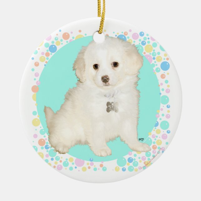 Poodle / Bichon Mix Puppy Celebrates Life Ceramic Ornament (Front)