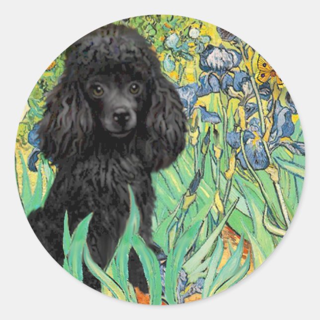 Poodle (black 1) - Irises Classic Round Sticker (Front)