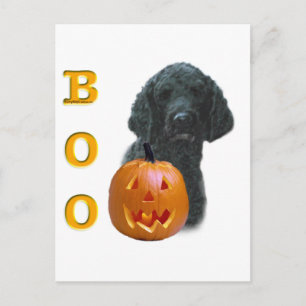 Poodle (Black Coated) Boo Postcard