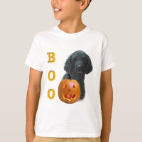 Poodle (Black Coated) Boo