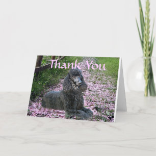 Poodle Black Thank You Card Flowers