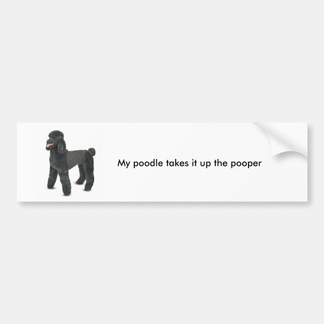 Poodle bumper sticker (Front)