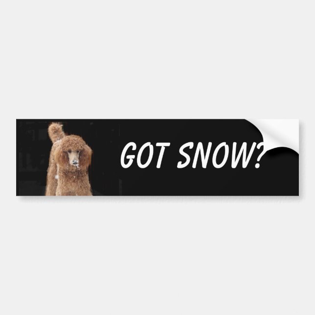 Poodle Bumper Sticker (Front)