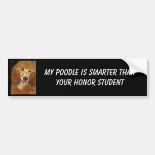 Poodle Bumper Sticker