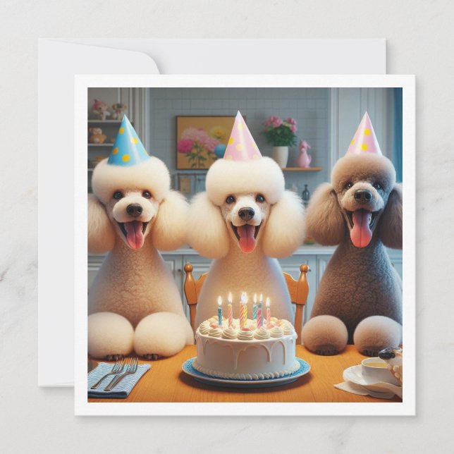 Poodle card, Dog Party, Dog birthday  Invitation (Front)