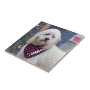 Poodle Ceramic Tile