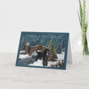 Poodle Christmas Card Evening