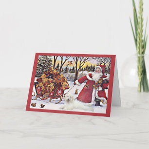 Poodle Christmas Card Santa Bears In Sleigh