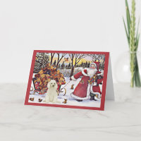 Poodle Christmas Card Santa Bears In Sleigh
