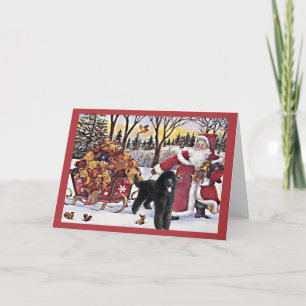 Poodle Christmas Card Santa Bears In Sleigh