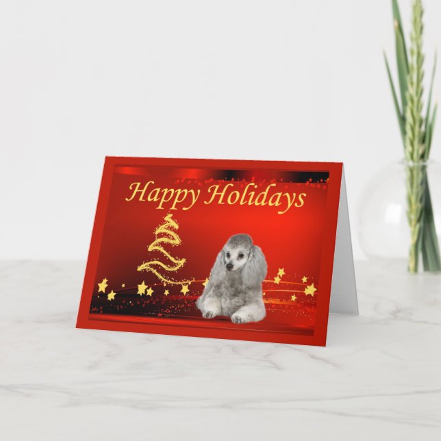 Poodle  Christmas Card Stars (Front)