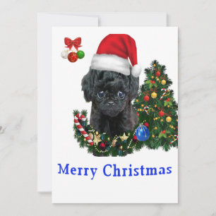 Poodle Christmas cards