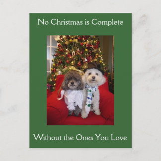 Poodle Christmas Wishes Holiday Postcard