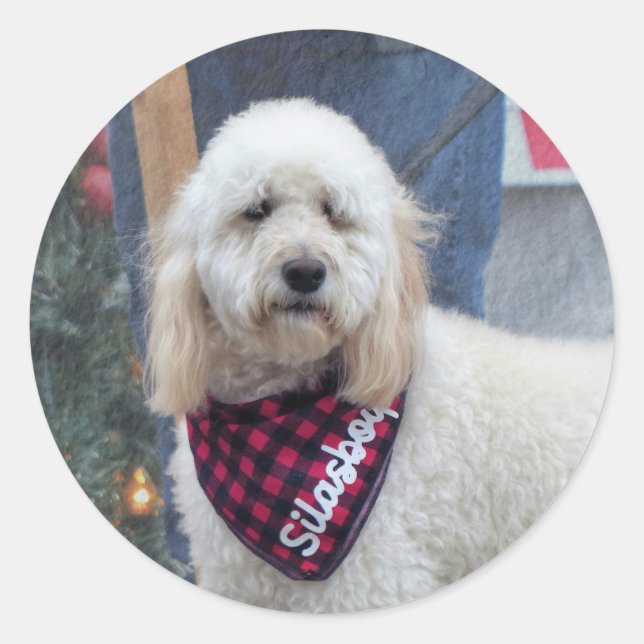 Poodle Classic Round Sticker (Front)