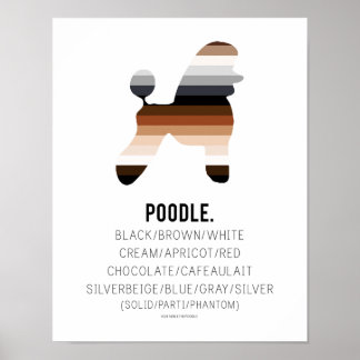 Poodle Colours Print by HUXSHOP