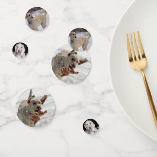 Poodle Confetti