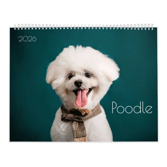 Poodle Cute Poodle Puppies 2024 Calendar (Cover)