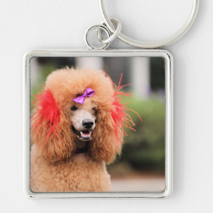 Poodle Day 2010 #1 Key Ring
