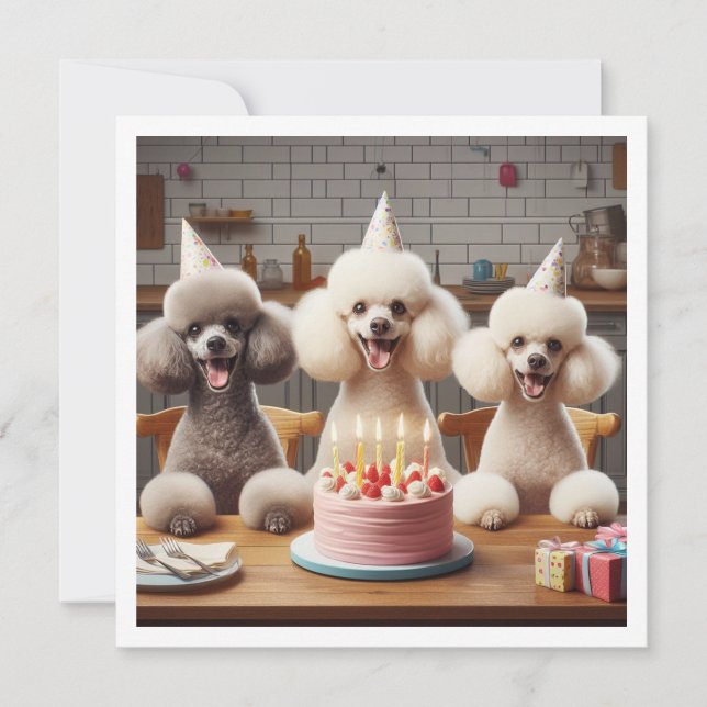 Poodle dog card,  Poodle birthday Invitation (Front)