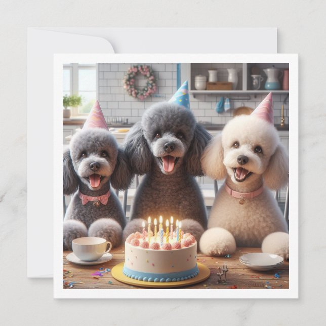 Poodle dog card,  Poodle birthday Invitation (Front)