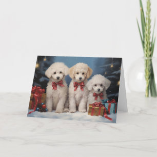 Poodle dog Christmas card