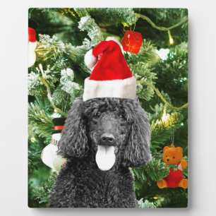 Poodle Dog Christmas Tree Snowman Red Santa Hat Plaque
